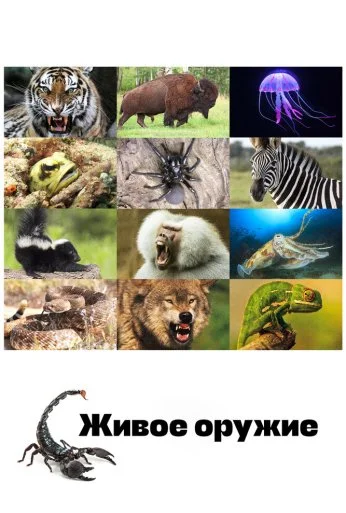 Живое оружие (2016)